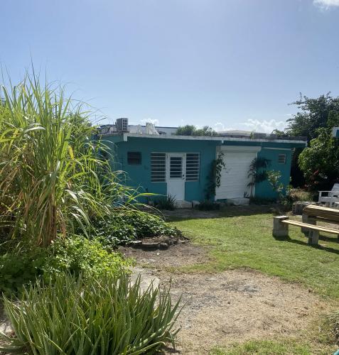 14 Days - Caribbean Community Gardens Residency - Level 1 Module