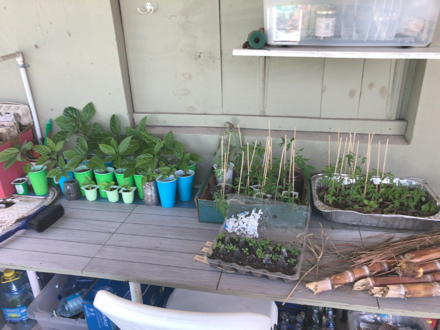 Step into Your Sustainable Paradise at Vicky's Keys!